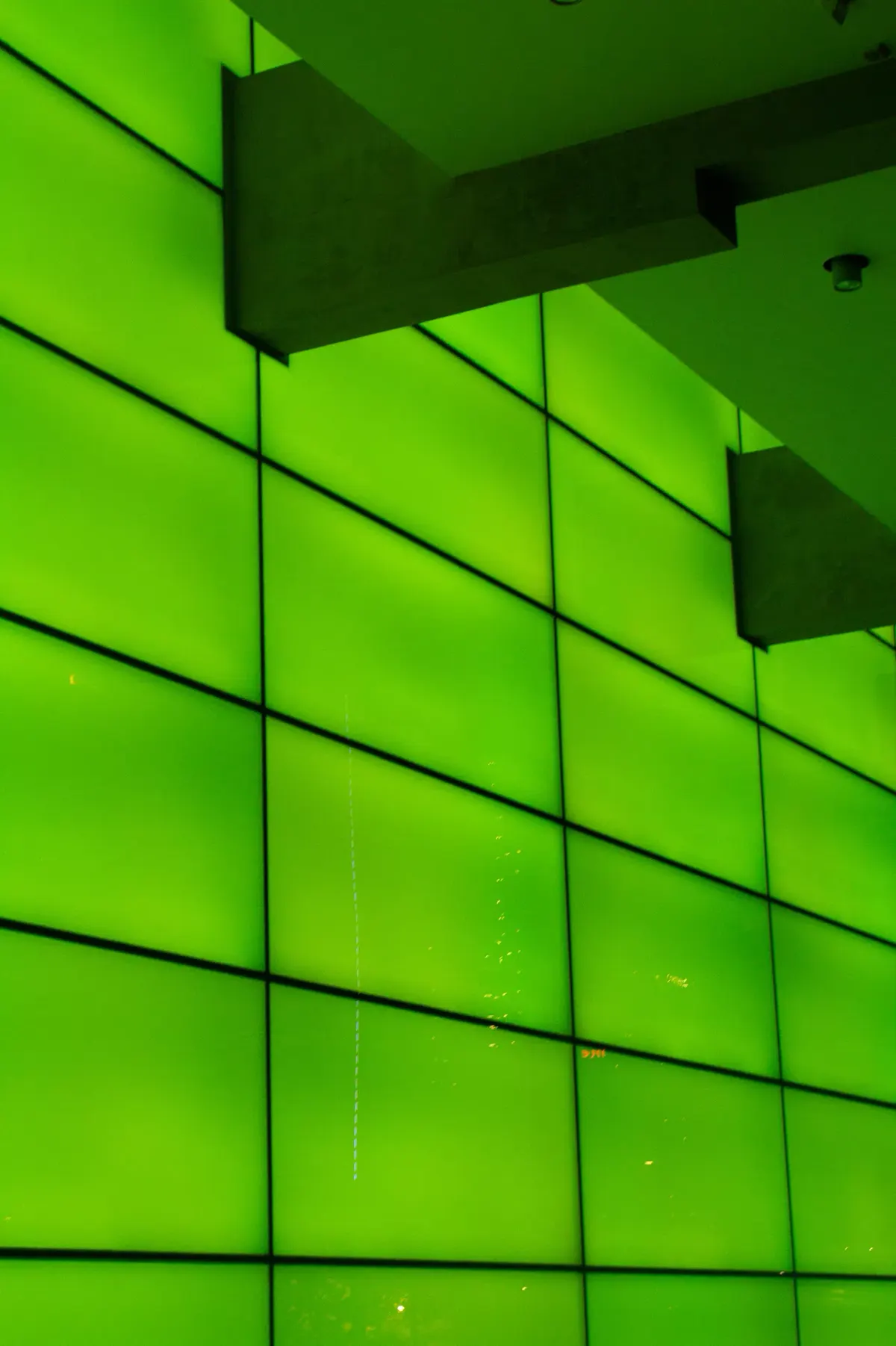 Wall of glowing green glass panels beneath a concrete ceiling