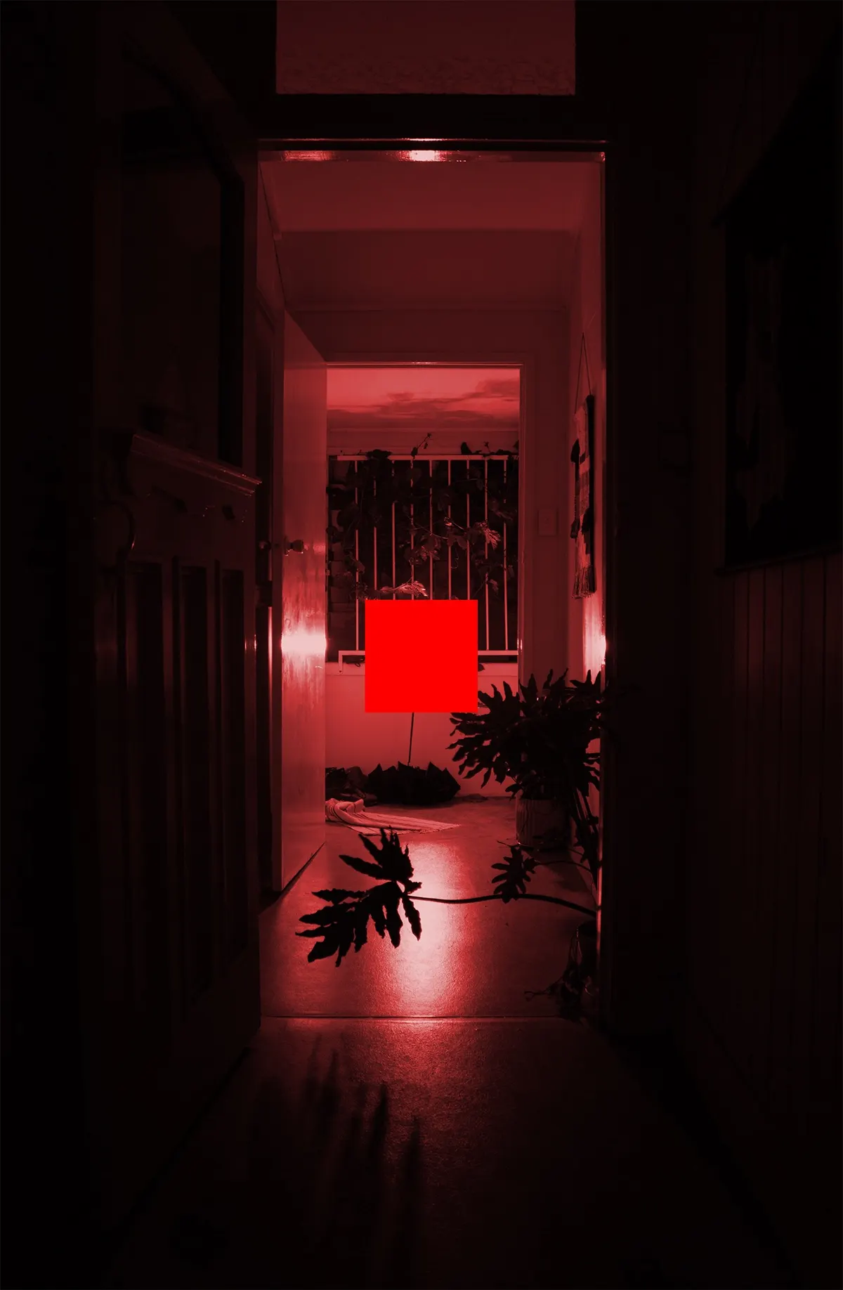 Light box style, taking coloured light from a single source overalyed with illustrator object.